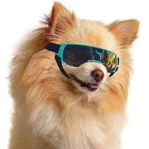 Dog Goggles for Small Breed - Anti-UV/AntiFog Doggy Sunglasses (Blue)